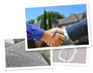 Insurance Claim Specialists
